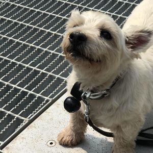 Meet your Posher, Bonnie